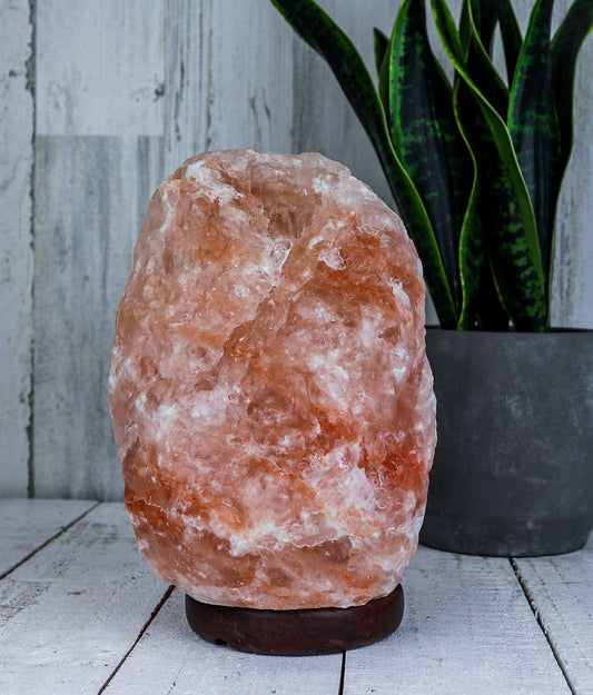 Natural Pink Salt Lamp (12-15 lb) (5.5-7 KG) (10-11") w/ Wood Base