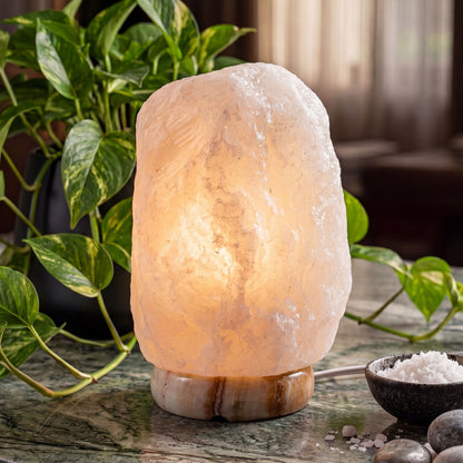 Natural White Salt Lamp (12-15 lb) (5.5-7 KG) (10-11") w/ Onyx Base