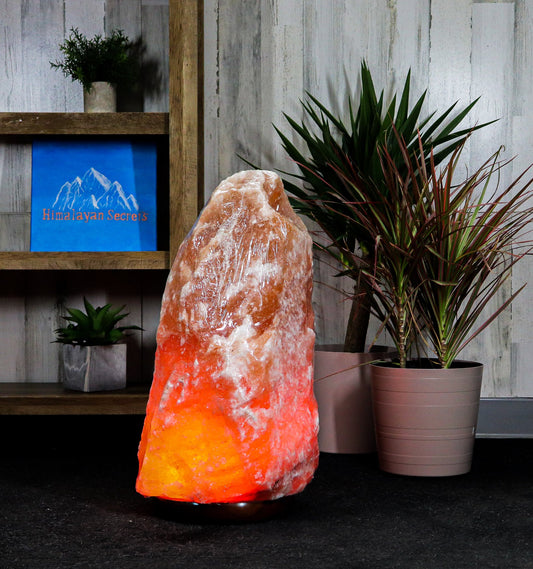 Natural Pink Salt Lamp (154-177 lb) (70-80 KG) w/ Wood Base