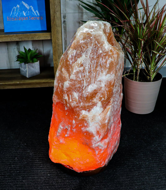 Natural Pink Salt Lamp (154-177 lb) (70-80 KG) w/ Wood Base