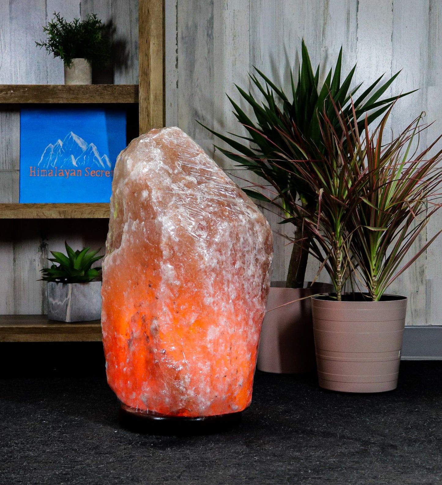 Natural Pink Salt Lamp (177-199 lb) (80-90 KG) w/ Wood Base