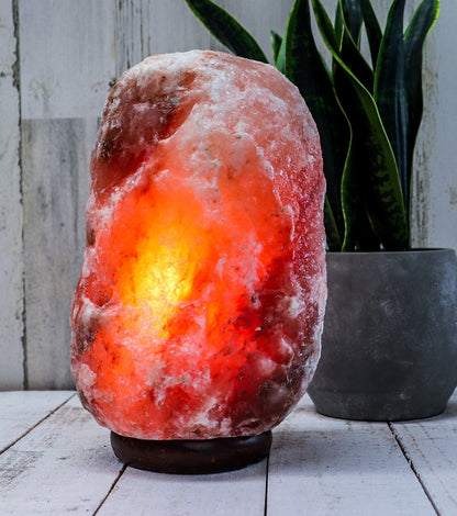 Natural Pink Salt Lamp (18-22 lb) (8-10 KG) (11-12") w/ Wood Base