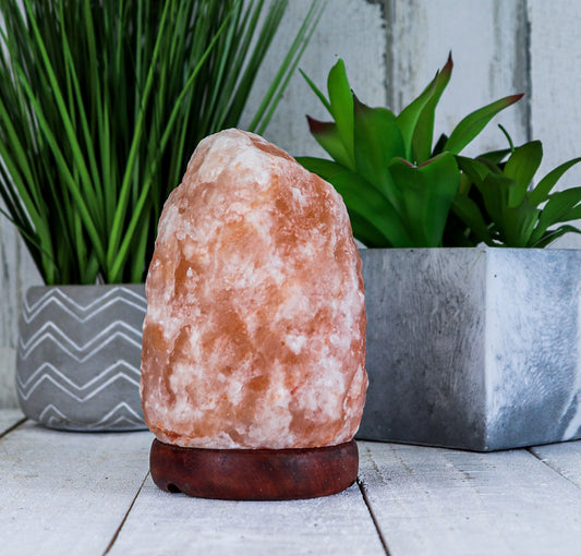 Natural Pink Salt Lamp (3-5 lb) (1.5-2.25 KG) (6-7") w/ Wood Base