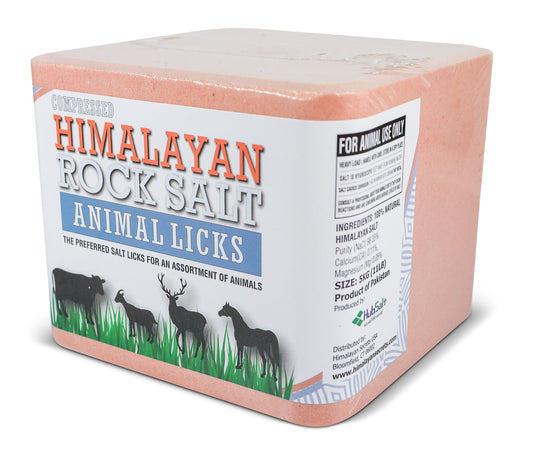 Compressed Himalayan Salt Animal Lick 11 lb (Block w/ Hole)