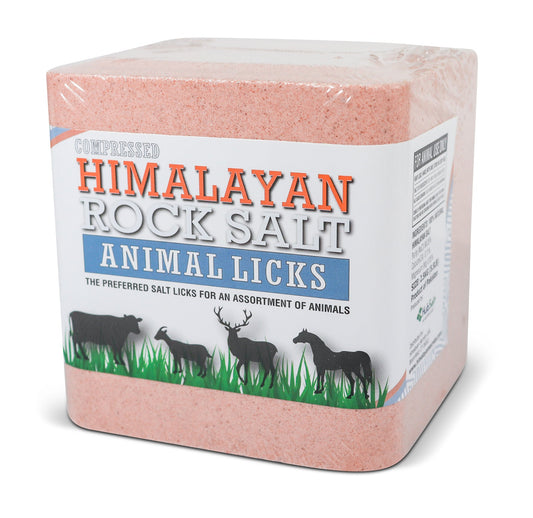 Compressed Himalayan Salt Animal Lick 5.5 lb (Block w/ Hole)