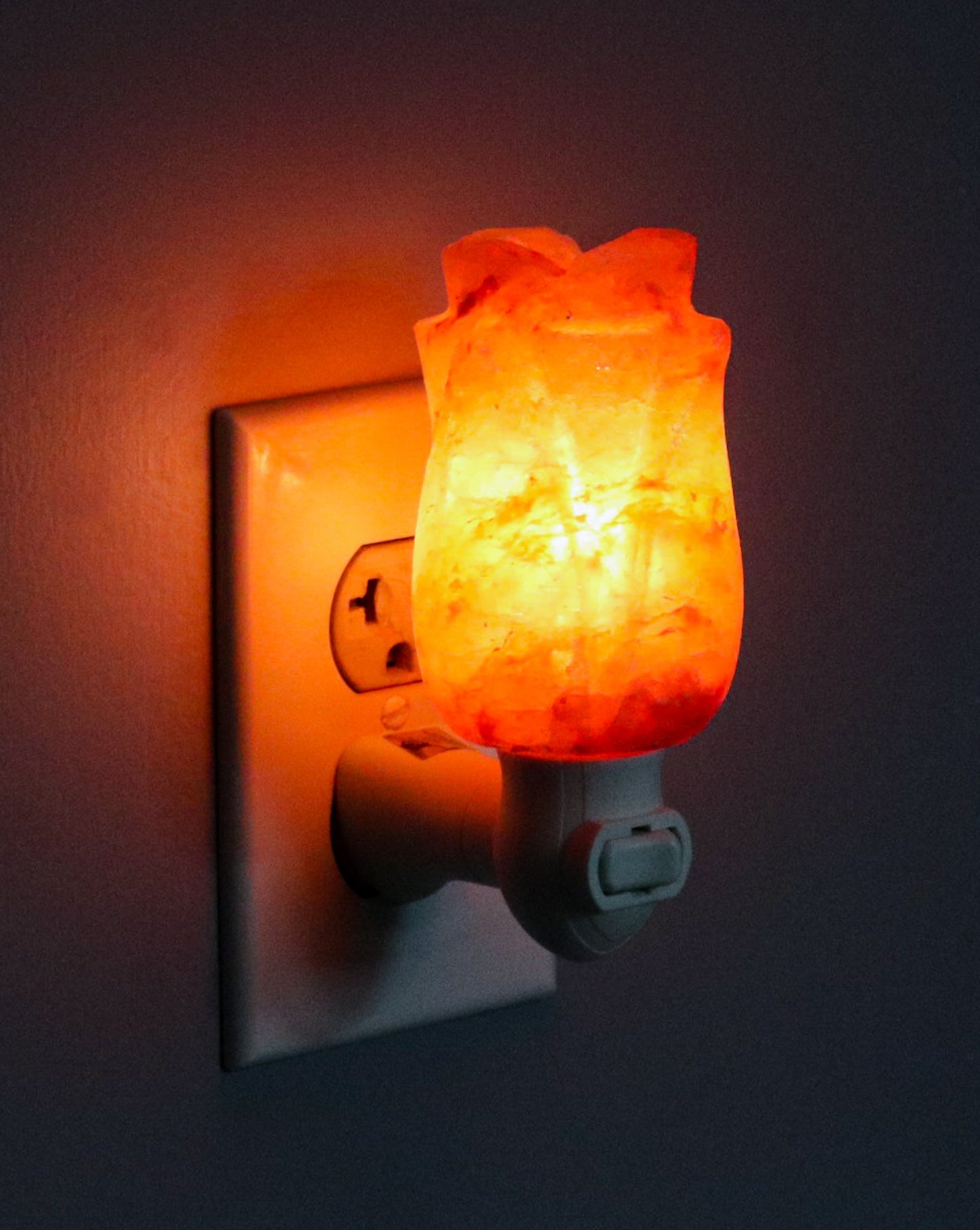 Rose Shape Pink Salt Night Light