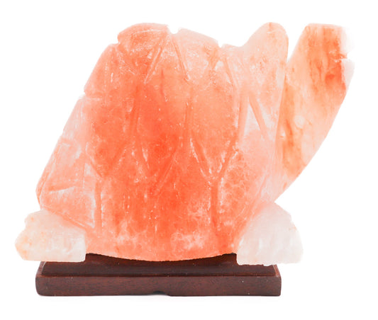 Pink Turtle Lamp (9-10 lb) 6" w/ Wood Base