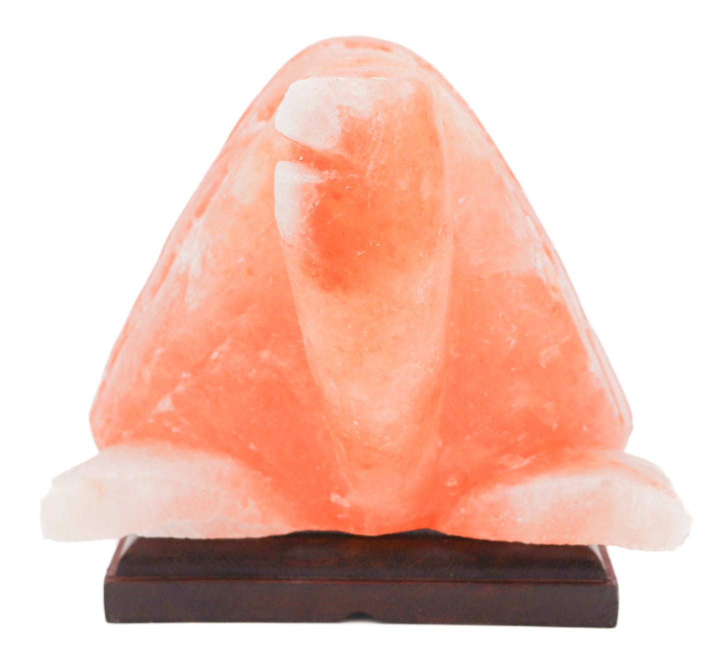 Pink Turtle Lamp (9-10 lb) 6" w/ Wood Base