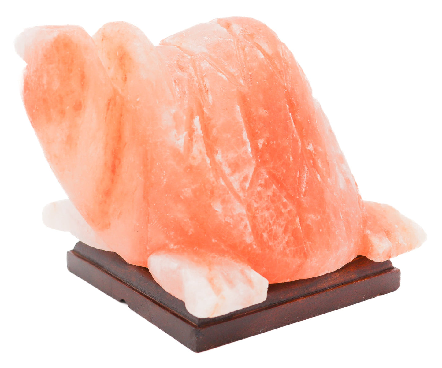 Pink Turtle Lamp (9-10 lb) 6" w/ Wood Base