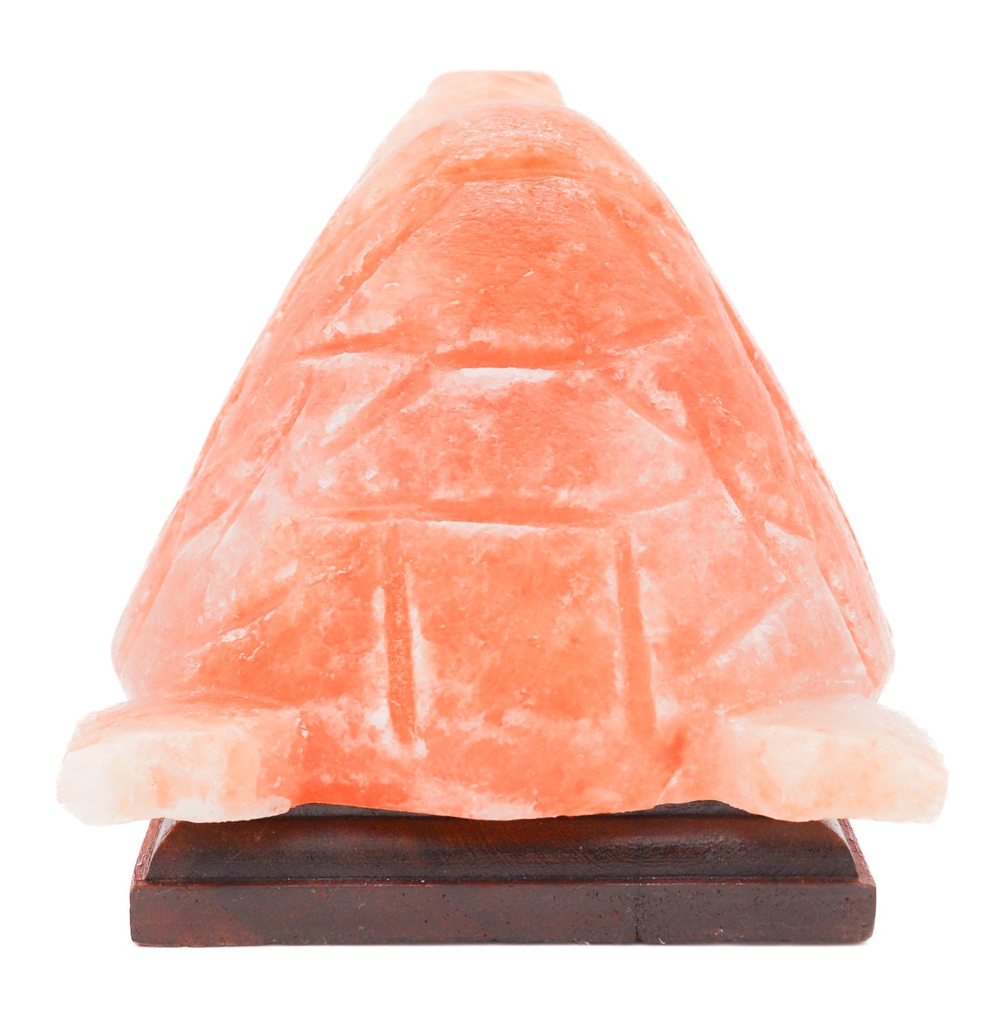 Pink Turtle Lamp (9-10 lb) 6" w/ Wood Base